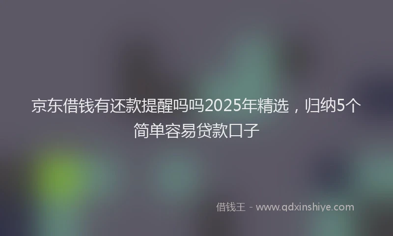 京东借钱有还款提醒吗吗2025年精选，归纳5个简单容易贷款口子