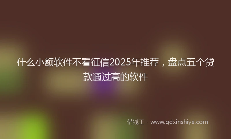 什么小额软件不看征信2025年推荐，盘点五个贷款通过高的软件