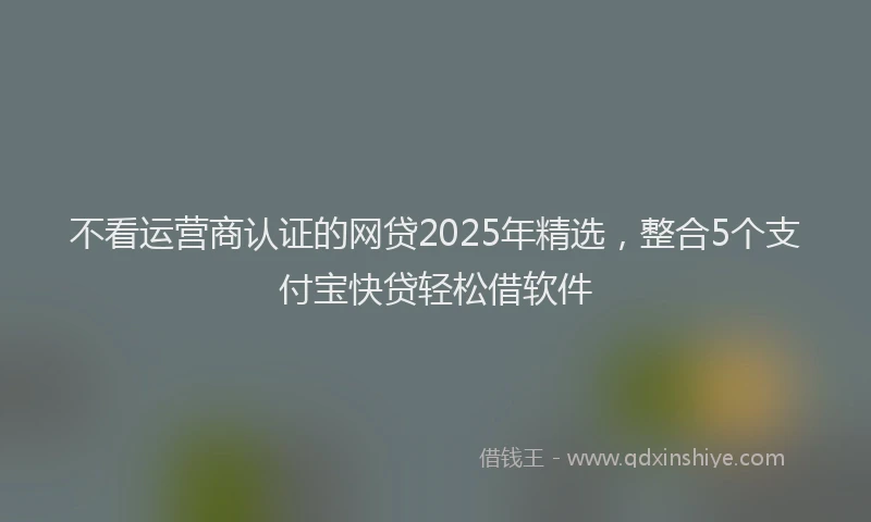不看运营商认证的网贷2025年精选，整合5个支付宝快贷轻松借软件