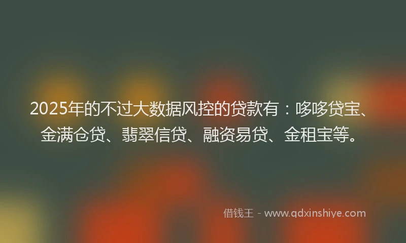2025年的不过大数据风控的贷款有：哆哆贷宝、金满仓贷、翡翠信贷、融资易贷、金租宝等。