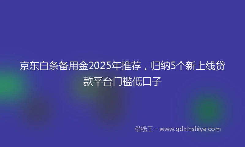 京东白条备用金2025年推荐，归纳5个新上线贷款平台门槛低口子