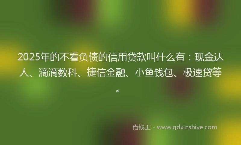 2025年的不看负债的信用贷款叫什么有：现金达人、滴滴数科、捷信金融、小鱼钱包、极速贷等。