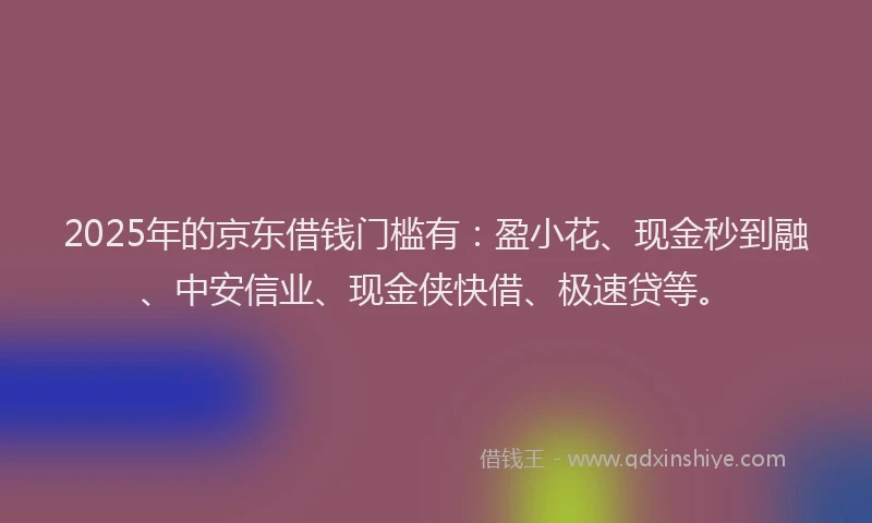 2025年的京东借钱门槛有：盈小花、现金秒到融、中安信业、现金侠快借、极速贷等。