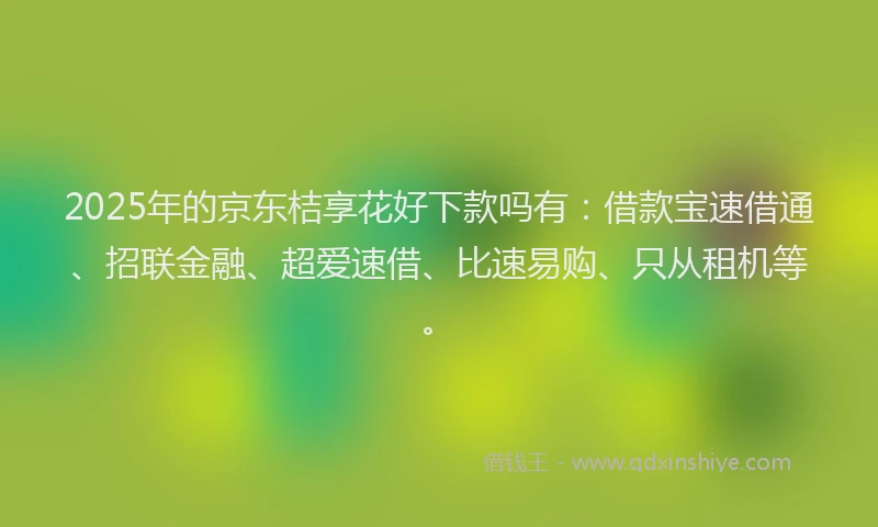 2025年的京东桔享花好下款吗有：借款宝速借通、招联金融、超爱速借、比速易购、只从租机等。