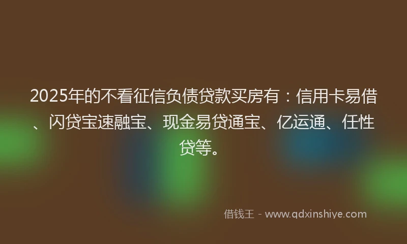 2025年的不看征信负债贷款买房有：信用卡易借、闪贷宝速融宝、现金易贷通宝、亿运通、任性贷等。