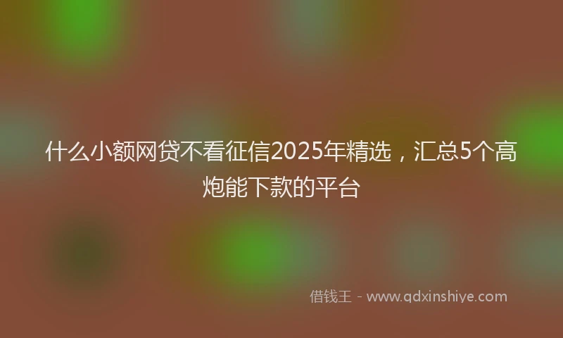 什么小额网贷不看征信2025年精选，汇总5个高炮能下款的平台