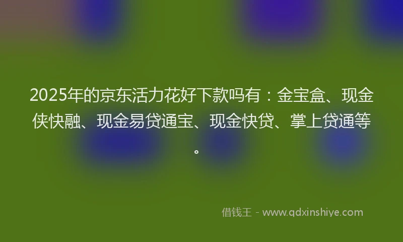 2025年的京东活力花好下款吗有：金宝盒、现金侠快融、现金易贷通宝、现金快贷、掌上贷通等。