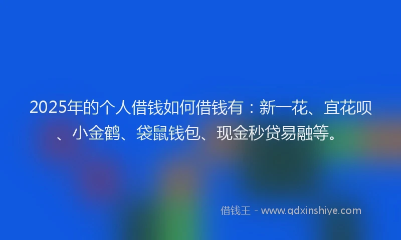 2025年的个人借钱如何借钱有：新一花、宜花呗、小金鹤、袋鼠钱包、现金秒贷易融等。