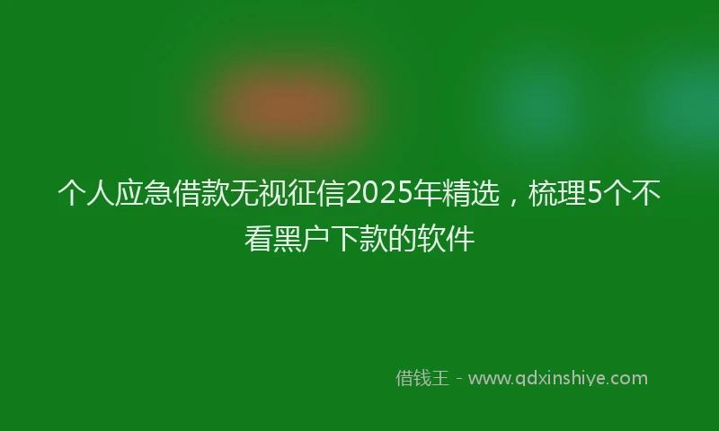 个人应急借款无视征信2025年精选，梳理5个不看黑户下款的软件