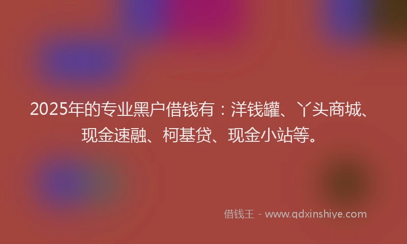 2025年的专业黑户借钱有：洋钱罐、丫头商城、现金速融、柯基贷、现金小站等。