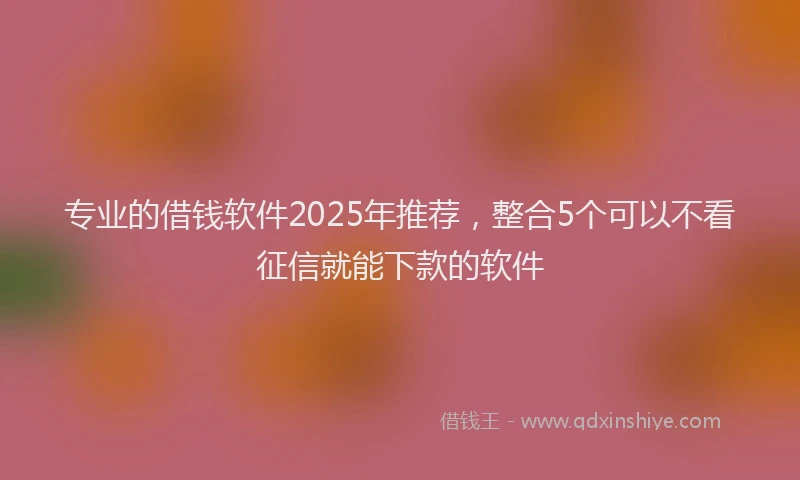专业的借钱软件2025年推荐，整合5个可以不看征信就能下款的软件