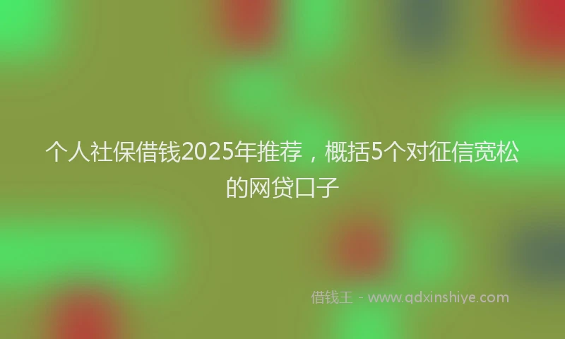 个人社保借钱2025年推荐，概括5个对征信宽松的网贷口子