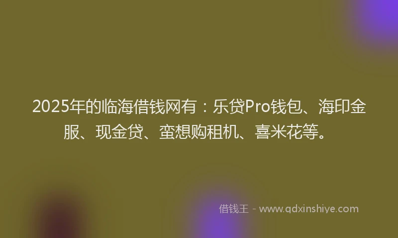 2025年的临海借钱网有：乐贷Pro钱包、海印金服、现金贷、蛮想购租机、喜米花等。