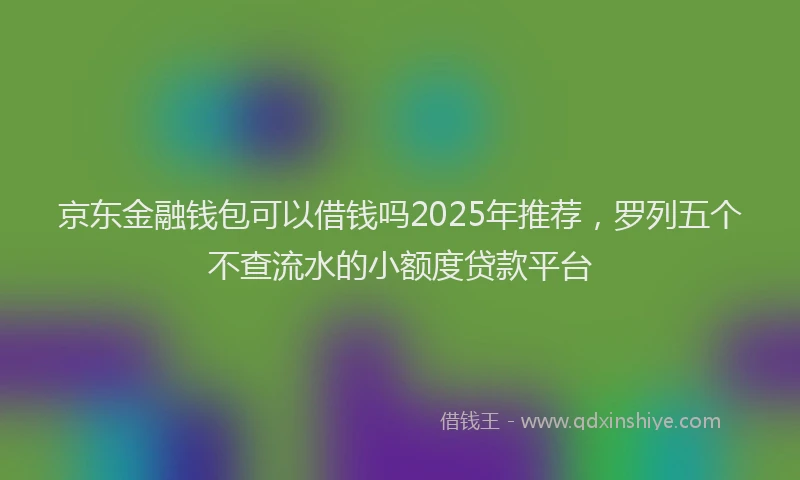 京东金融钱包可以借钱吗2025年推荐，罗列五个不查流水的小额度贷款平台