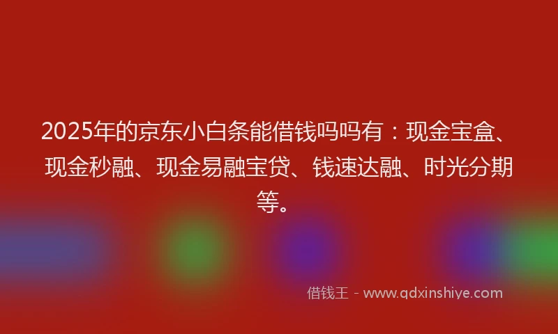 2025年的京东小白条能借钱吗吗有：现金宝盒、现金秒融、现金易融宝贷、钱速达融、时光分期等。