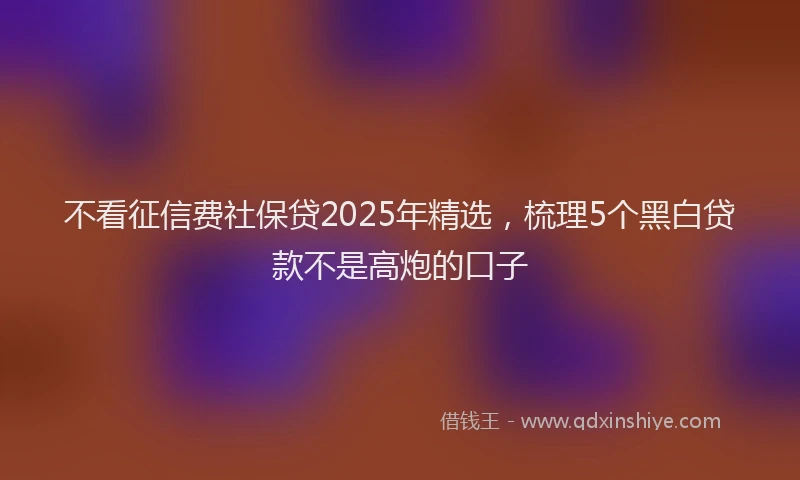 不看征信费社保贷2025年精选，梳理5个黑白贷款不是高炮的口子