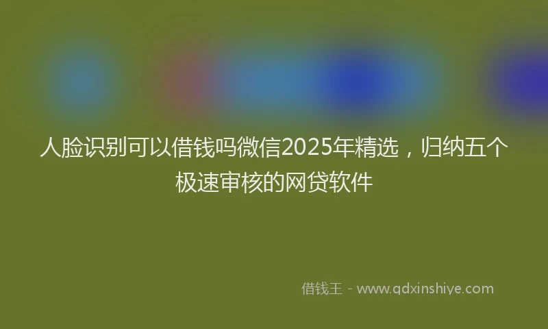 人脸识别可以借钱吗微信2025年精选，归纳五个极速审核的网贷软件