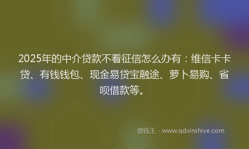 2025年的中介贷款不看征信怎么办有：维信卡卡贷、有钱钱包、现金易贷宝融途、萝卜易购、省呗借款等。