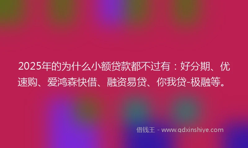 2025年的为什么小额贷款都不过有：好分期、优速购、爱鸿森快借、融资易贷、你我贷-极融等。