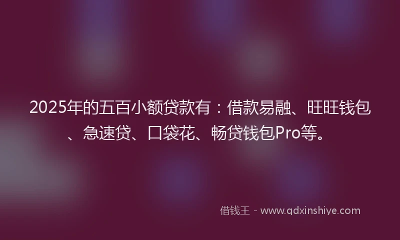 2025年的五百小额贷款有：借款易融、旺旺钱包、急速贷、口袋花、畅贷钱包Pro等。