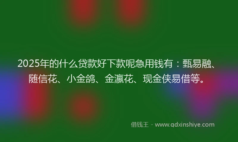 2025年的什么贷款好下款呢急用钱有：甄易融、随信花、小金鸽、金瀛花、现金侠易借等。