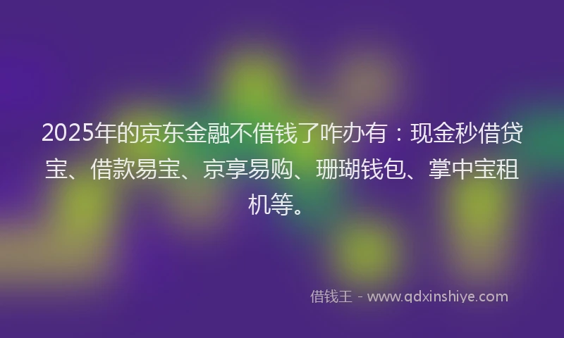 2025年的京东金融不借钱了咋办有：现金秒借贷宝、借款易宝、京享易购、珊瑚钱包、掌中宝租机等。