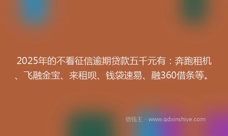 2025年的不看征信逾期贷款五千元有：奔跑租机、飞融金宝、来租呗、钱袋速易、融360借条等。