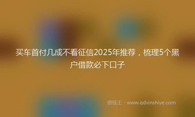 买车首付几成不看征信2025年推荐，梳理5个黑户借款必下口子