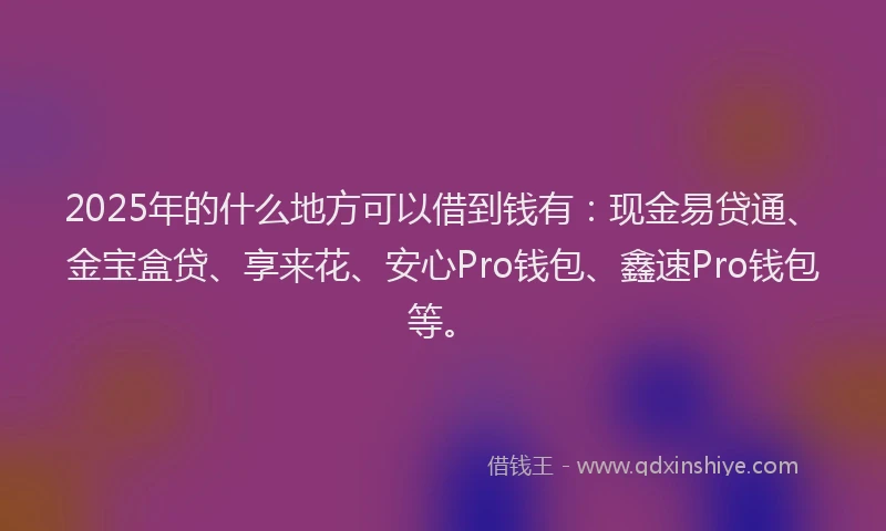 2025年的什么地方可以借到钱有：现金易贷通、金宝盒贷、享来花、安心Pro钱包、鑫速Pro钱包等。