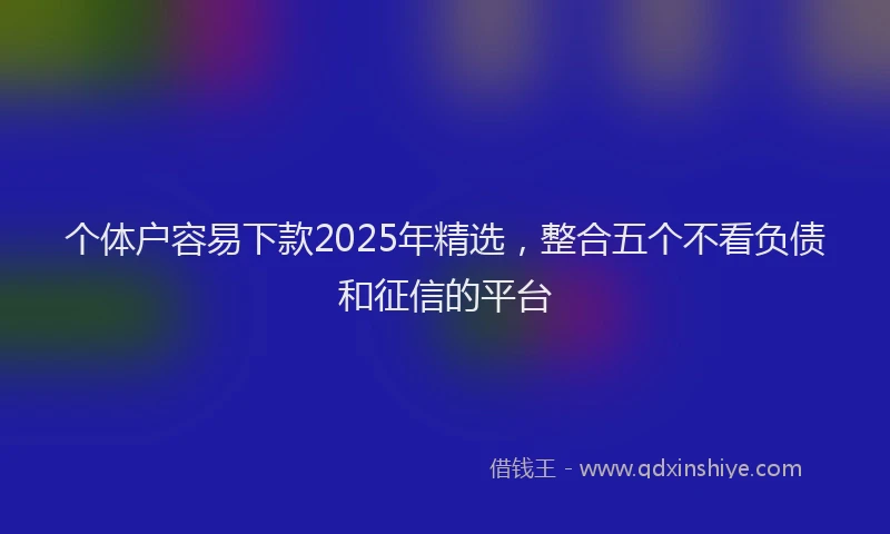个体户容易下款2025年精选，整合五个不看负债和征信的平台