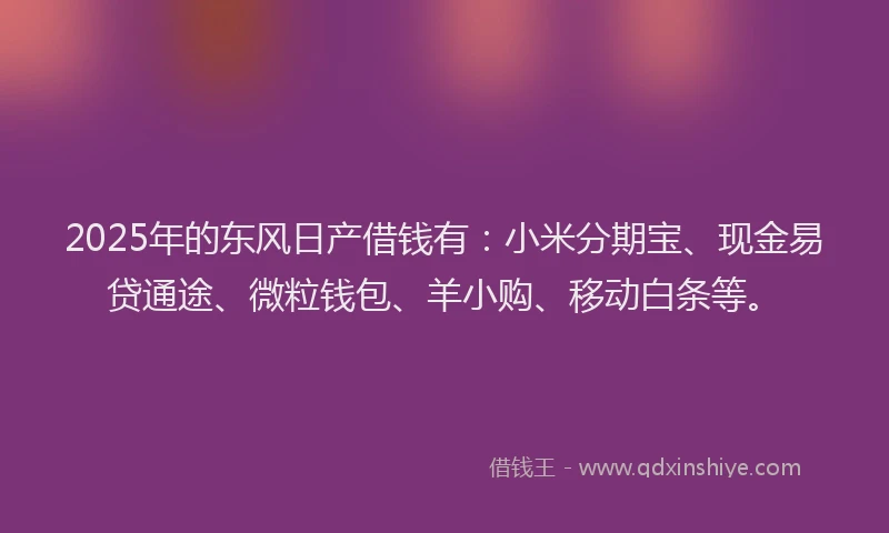 2025年的东风日产借钱有：小米分期宝、现金易贷通途、微粒钱包、羊小购、移动白条等。