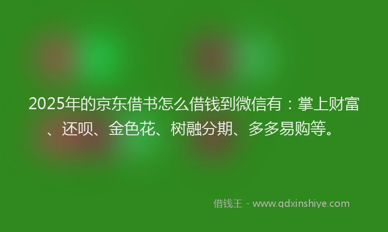 2025年的京东借书怎么借钱到微信有：掌上财富、还呗、金色花、树融分期、多多易购等。