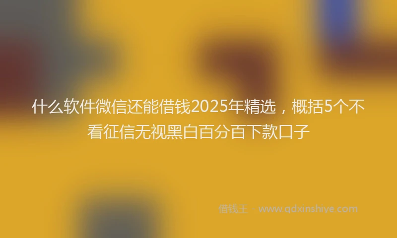 什么软件微信还能借钱2025年精选，概括5个不看征信无视黑白百分百下款口子