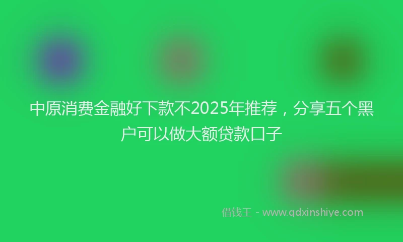 中原消费金融好下款不2025年推荐，分享五个黑户可以做大额贷款口子