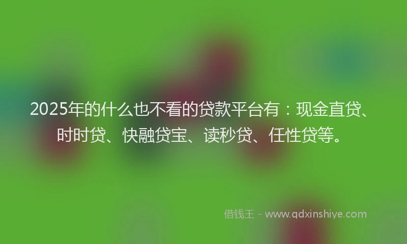 2025年的什么也不看的贷款平台有：现金直贷、时时贷、快融贷宝、读秒贷、任性贷等。