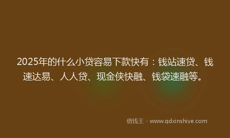 2025年的什么小贷容易下款快有：钱站速贷、钱速达易、人人贷、现金侠快融、钱袋速融等。