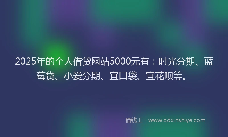2025年的个人借贷网站5000元有：时光分期、蓝莓贷、小爱分期、宜口袋、宜花呗等。