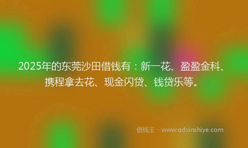 2025年的东莞沙田借钱有：新一花、盈盈金科、携程拿去花、现金闪贷、钱贷乐等。