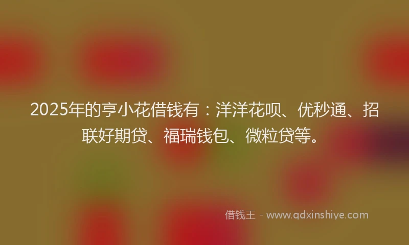 2025年的亨小花借钱有：洋洋花呗、优秒通、招联好期贷、福瑞钱包、微粒贷等。