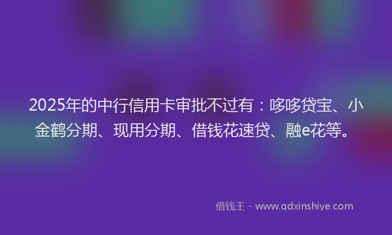 2025年的中行信用卡审批不过有：哆哆贷宝、小金鹤分期、现用分期、借钱花速贷、融e花等。