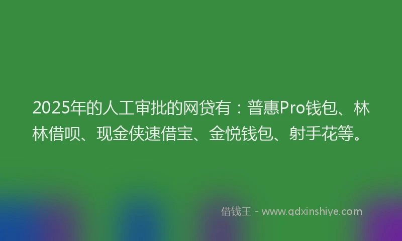 2025年的人工审批的网贷有：普惠Pro钱包、林林借呗、现金侠速借宝、金悦钱包、射手花等。