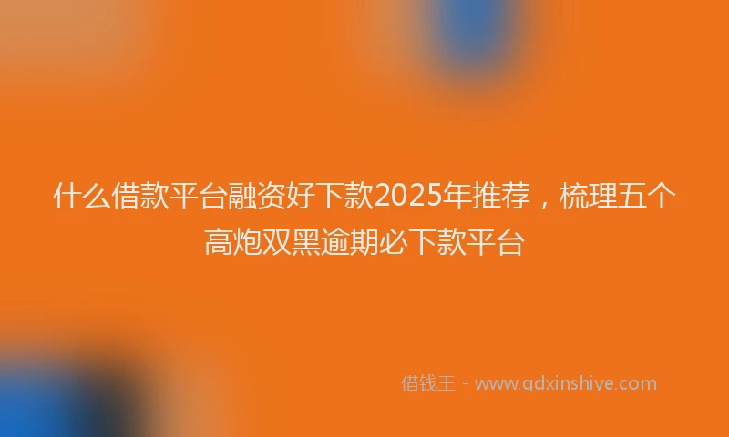 什么借款平台融资好下款2025年推荐，梳理五个高炮双黑逾期必下款平台