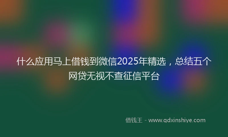 什么应用马上借钱到微信2025年精选，总结五个网贷无视不查征信平台
