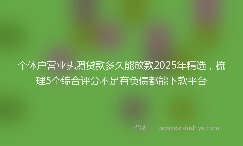 个体户营业执照贷款多久能放款2025年精选，梳理5个综合评分不足有负债都能下款平台