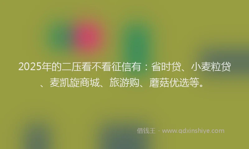 2025年的二压看不看征信有：省时贷、小麦粒贷、麦凯旋商城、旅游购、蘑菇优选等。