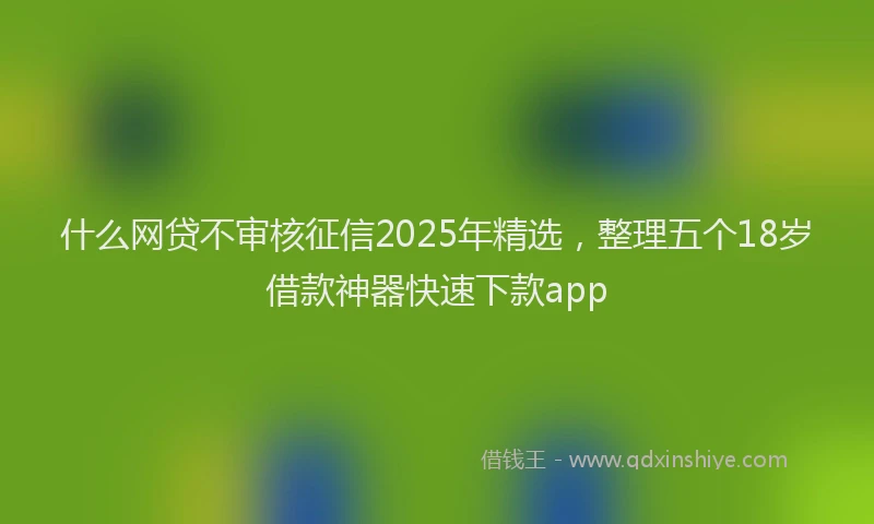 什么网贷不审核征信2025年精选，整理五个18岁借款神器快速下款app