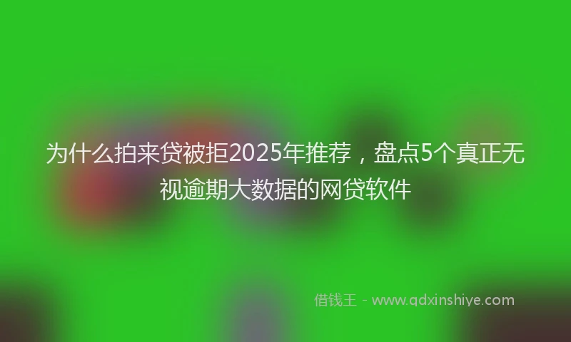 为什么拍来贷被拒2025年推荐，盘点5个真正无视逾期大数据的网贷软件