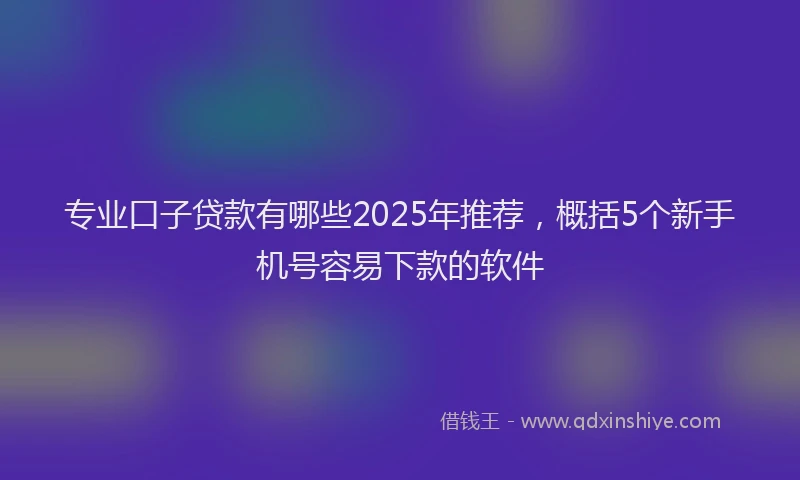 专业口子贷款有哪些2025年推荐，概括5个新手机号容易下款的软件