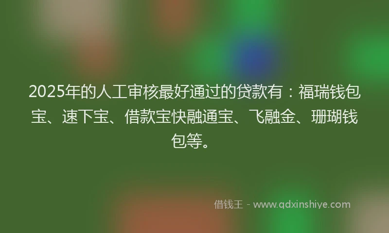 2025年的人工审核最好通过的贷款有：福瑞钱包宝、速下宝、借款宝快融通宝、飞融金、珊瑚钱包等。