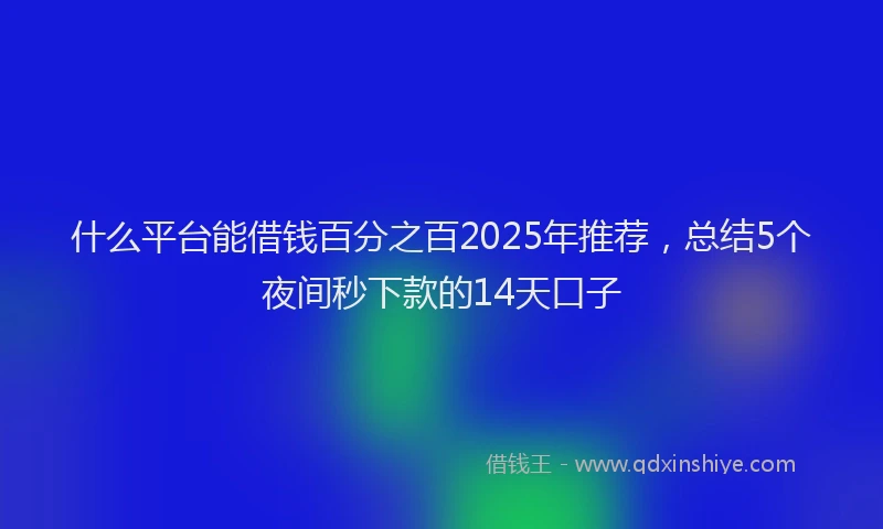 什么平台能借钱百分之百2025年推荐，总结5个夜间秒下款的14天口子